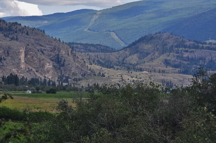 scenic landscape in vineyard country